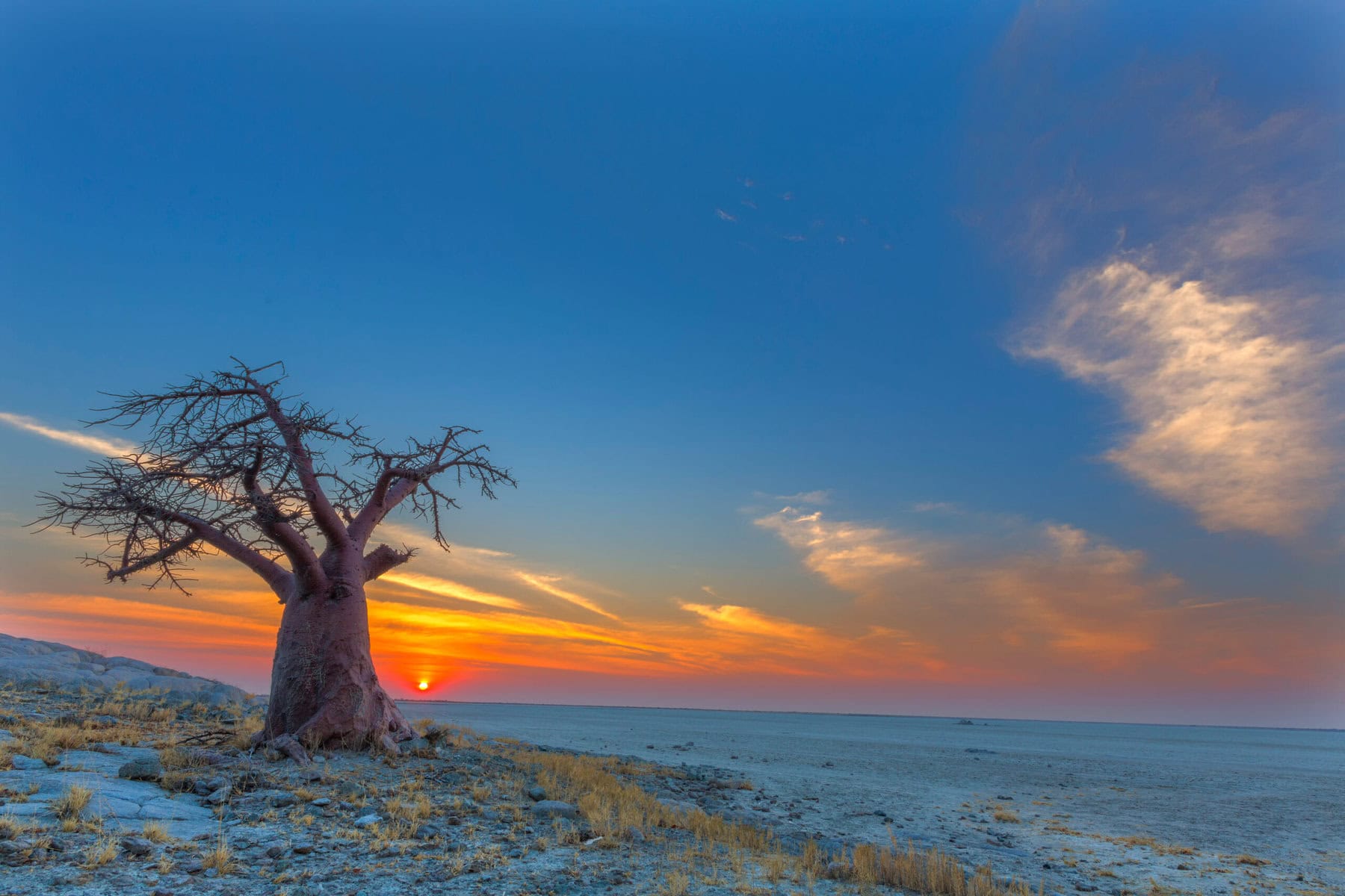 Desert And Delta Safari Makgadikgadi Okavango And Selinda desert-and-delta-safari-makgadikgadi-okavango-and-selinda