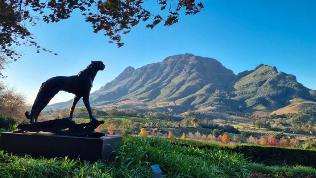 Delaire Graff Estate in Stellenbosch – Luxury South Africa Wine Safari with mountain views, fine dining, and world-class vineyards