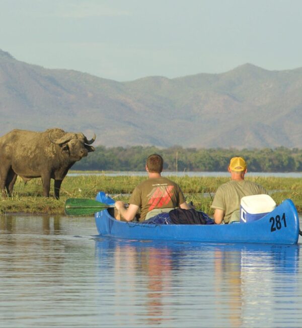 Canoe safari on lower zambezi on a luxury safari zambia trip